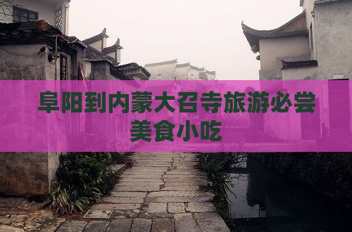 阜阳去内蒙大召寺旅游小吃
