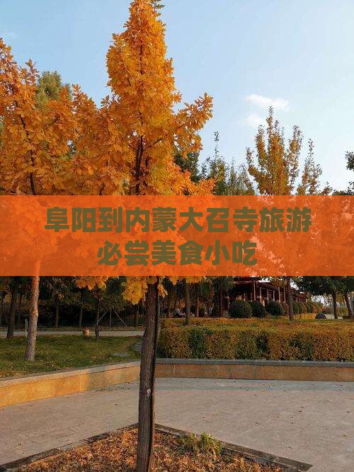 阜阳去内蒙大召寺旅游小吃