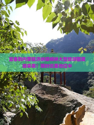 宜春到内蒙额济纳胡杨林大型旅游团
