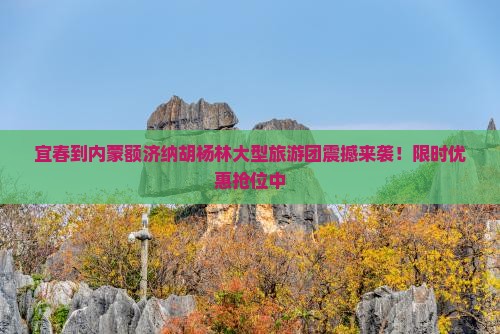 宜春到内蒙额济纳胡杨林大型旅游团