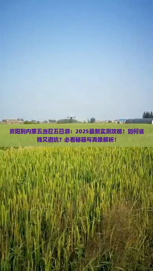 资阳到内蒙五当召五日游