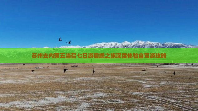 苏州去内蒙五当召七日游
