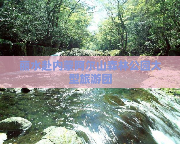 丽水去内蒙阿尔山国家森林公园大型旅游团