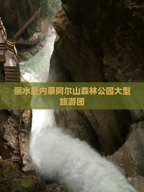 丽水去内蒙阿尔山国家森林公园大型旅游团