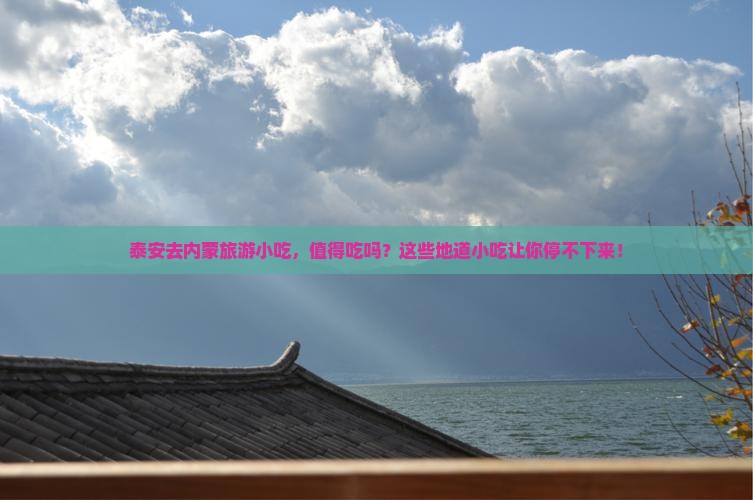 泰安去内蒙旅游小吃