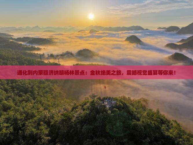 通化到内蒙额济纳胡杨林景点