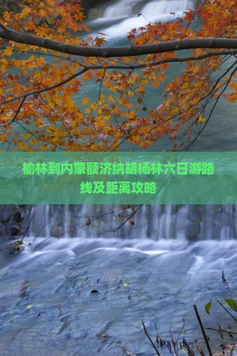 榆林到内蒙额济纳胡杨林六日游