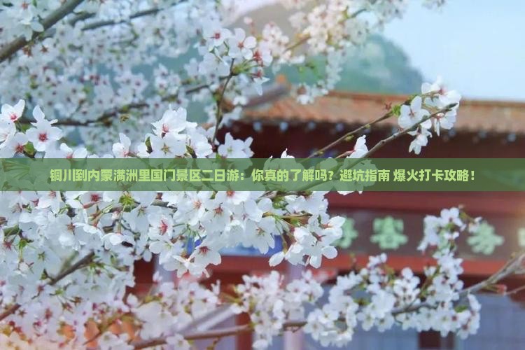 铜川到内蒙满洲里国门景区二日游