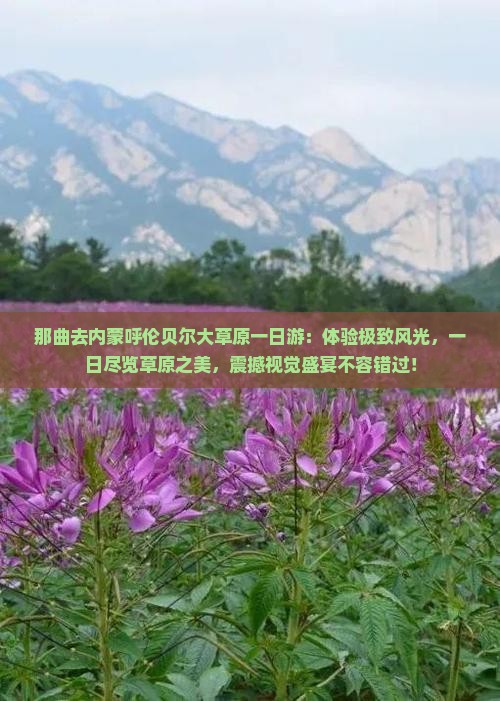那曲去内蒙呼伦贝尔大草原一日游