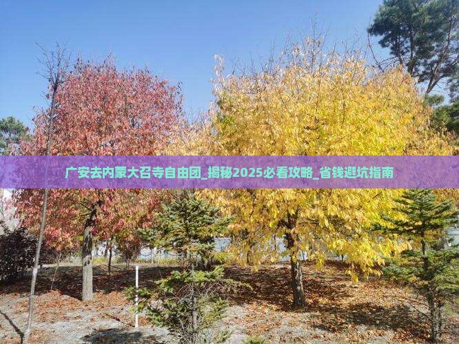 广安去内蒙大召寺自由团