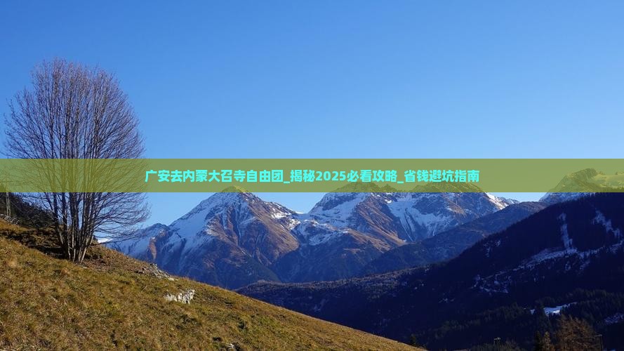 广安去内蒙大召寺自由团