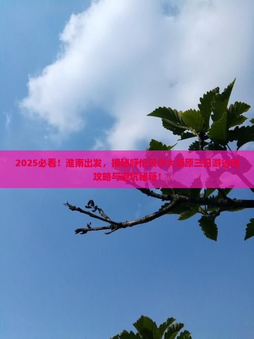 淮南去内蒙呼伦贝尔大草原三日游