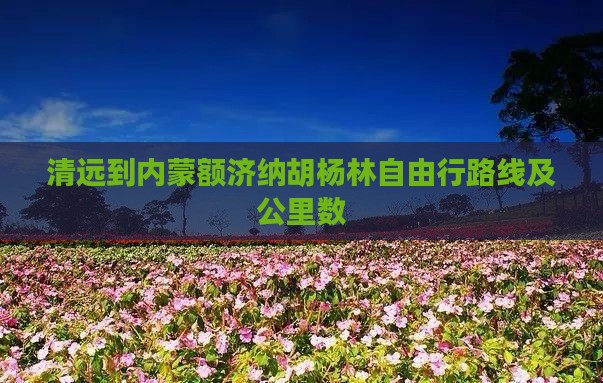 清远到内蒙额济纳胡杨林自由行
