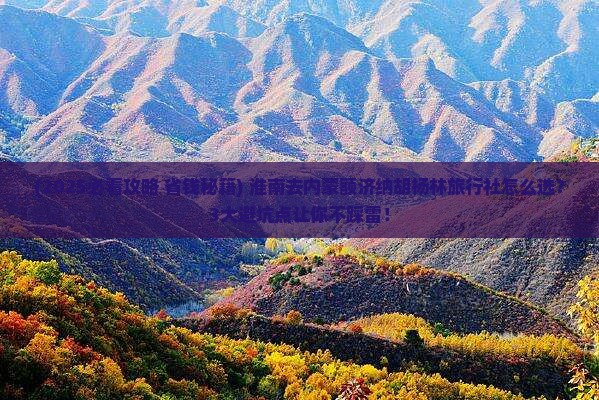 淮南去内蒙额济纳胡杨林旅行社