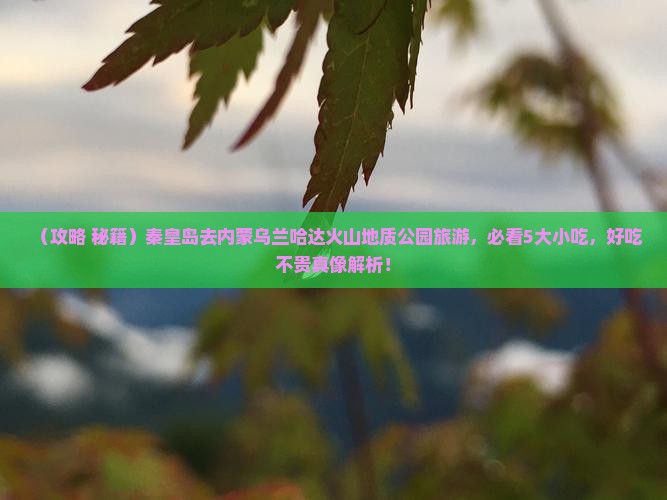 秦皇岛去内蒙乌兰哈达火山地质公园旅游小吃