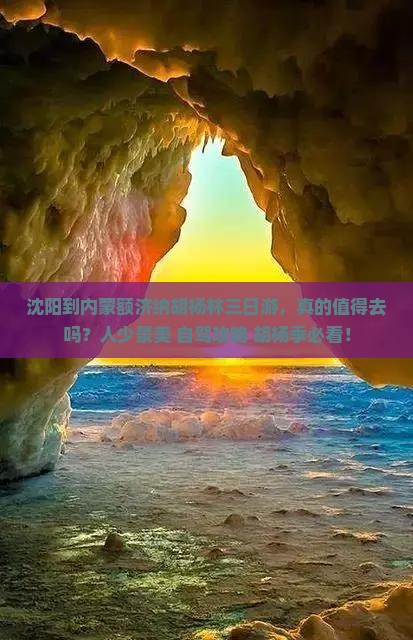 沈阳到内蒙额济纳胡杨林三日游