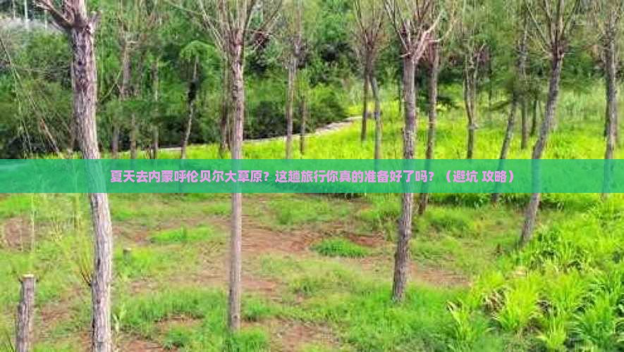 夏天去内蒙呼伦贝尔大草原旅行社