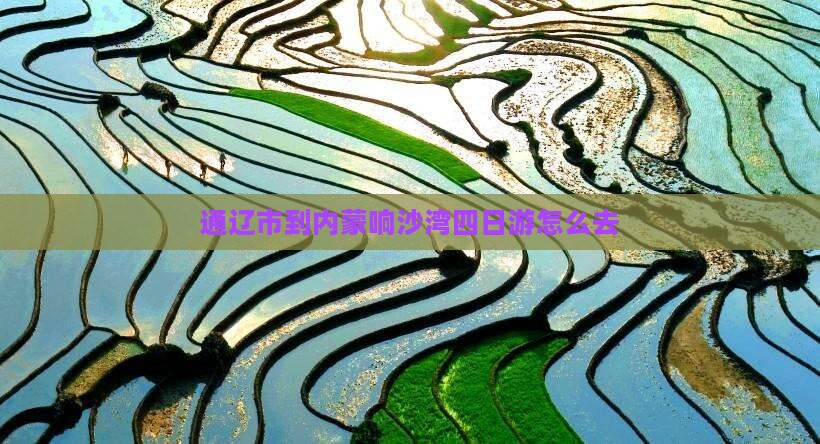 通辽市到内蒙响沙湾四日游