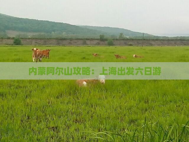 上海去内蒙阿尔山国家森林公园六日游