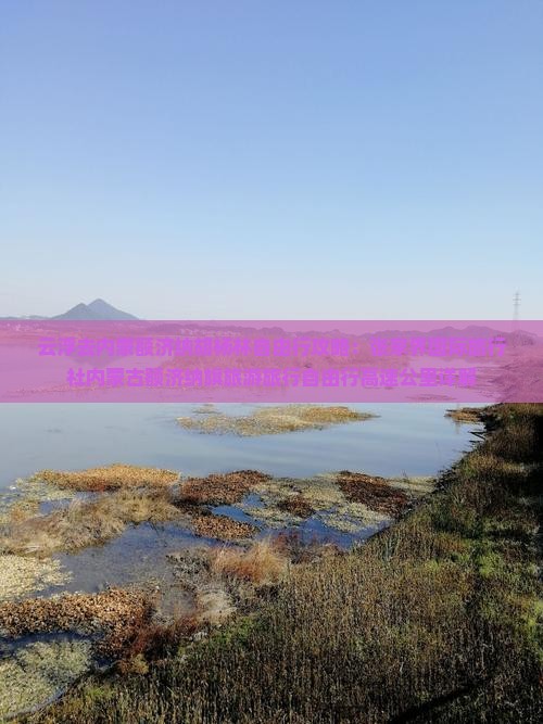 云浮去内蒙额济纳胡杨林自由行