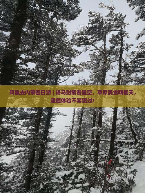 阿里去内蒙四日游