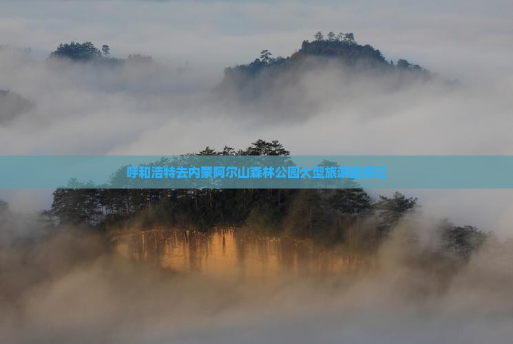 呼和浩特去内蒙阿尔山国家森林公园大型旅游团