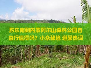 黔东南到内蒙阿尔山国家森林公园自由行