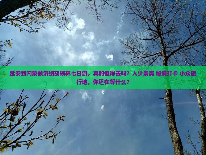 延安到内蒙额济纳胡杨林七日游