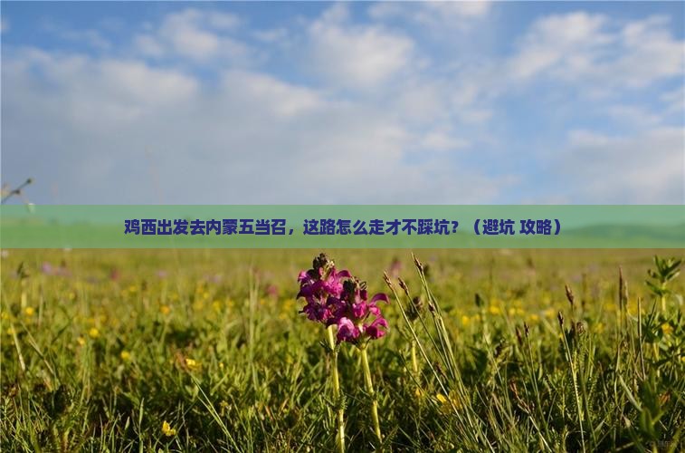 鸡西去内蒙五当召必去地