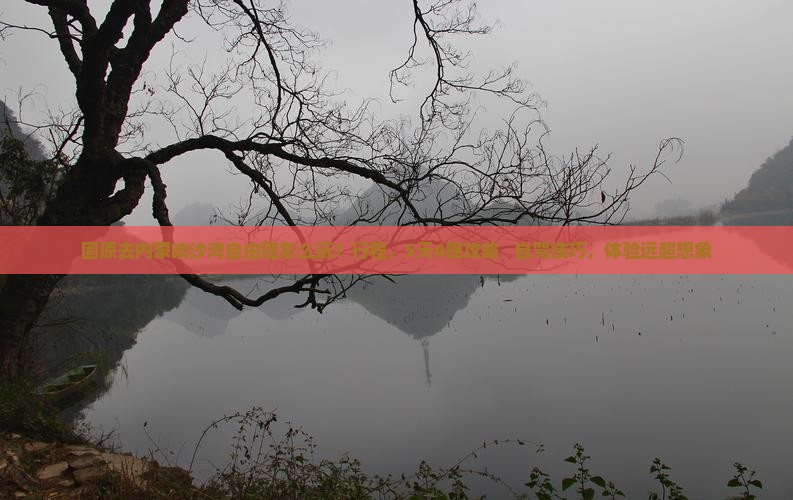 固原去内蒙响沙湾自由团