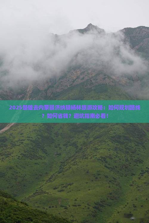 楚雄去内蒙额济纳胡杨林旅游