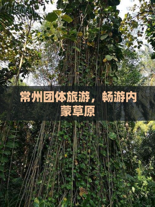 常州去内蒙团体旅游