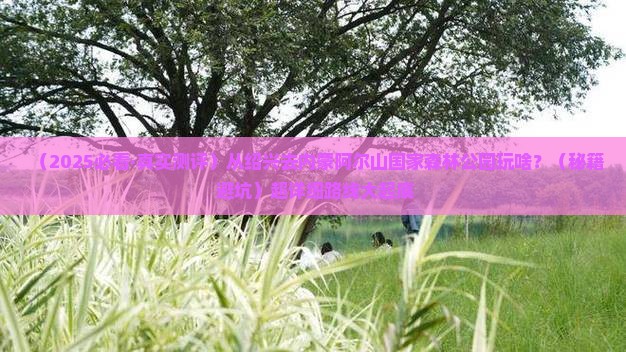 绍兴到内蒙阿尔山国家森林公园哪里玩