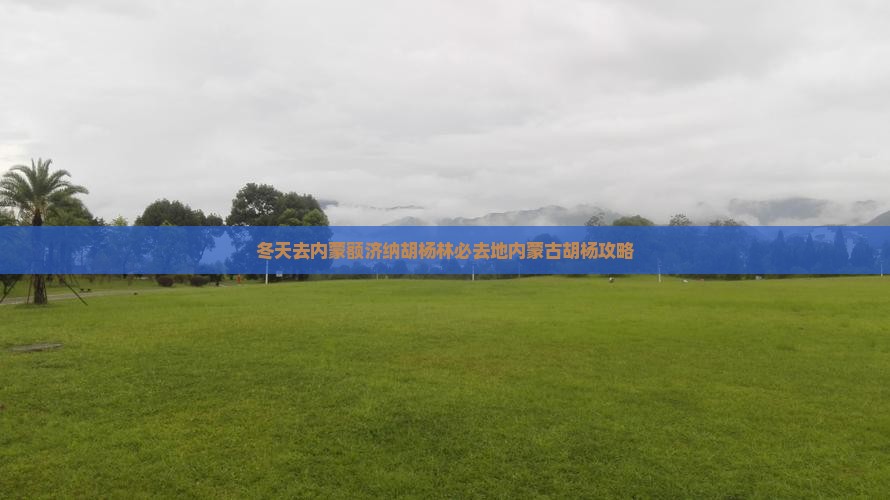 冬天去内蒙额济纳胡杨林必去地