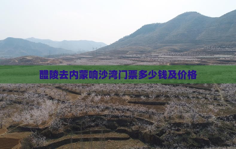 醴陵去内蒙响沙湾门票