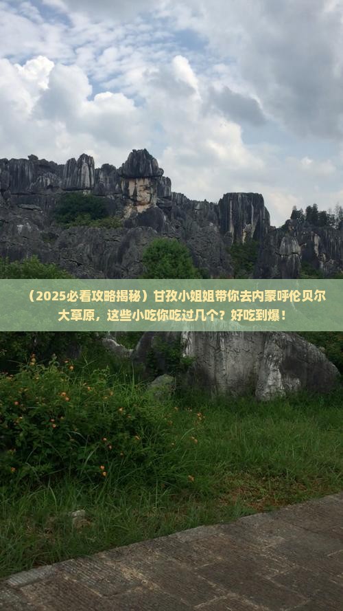 甘孜去内蒙呼伦贝尔大草原旅游小吃