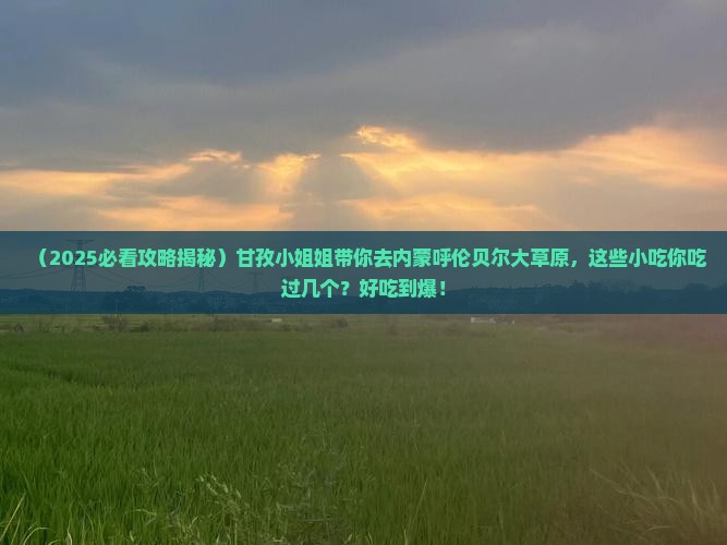 甘孜去内蒙呼伦贝尔大草原旅游小吃