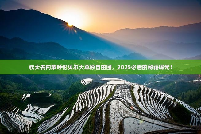 秋天去内蒙呼伦贝尔大草原自由团