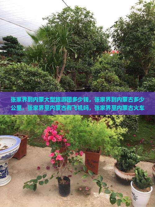 张家界到内蒙大型旅游团