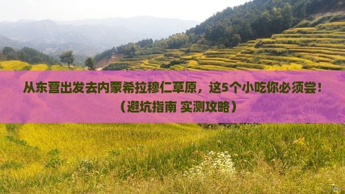 东营去内蒙希拉穆仁草原旅游小吃