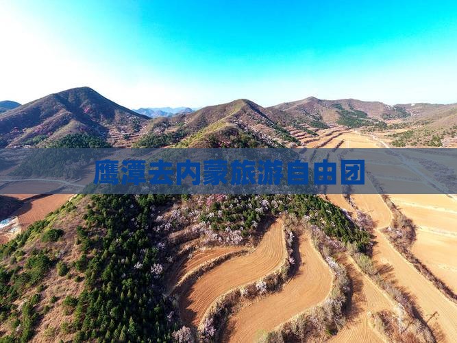 鹰潭去内蒙自由团
