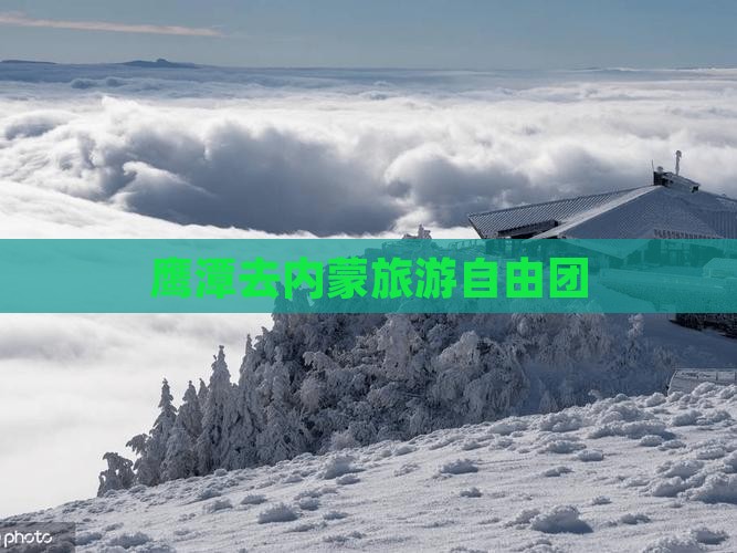 鹰潭去内蒙自由团