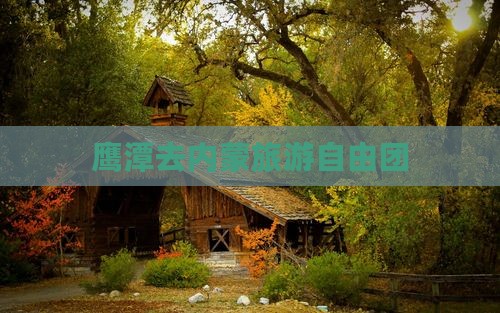 鹰潭去内蒙自由团