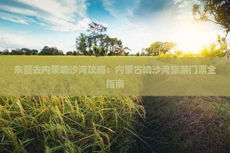 东营去内蒙响沙湾门票