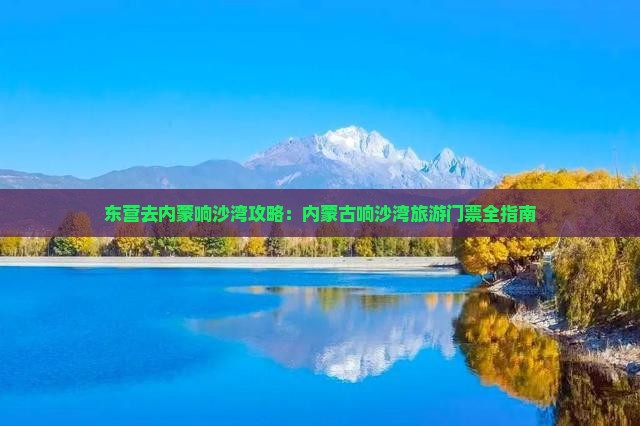 东营去内蒙响沙湾门票