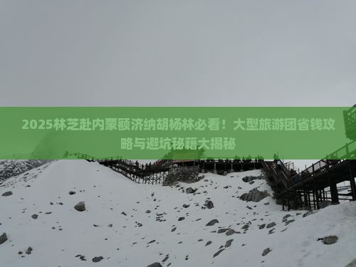 林芝去内蒙额济纳胡杨林大型旅游团