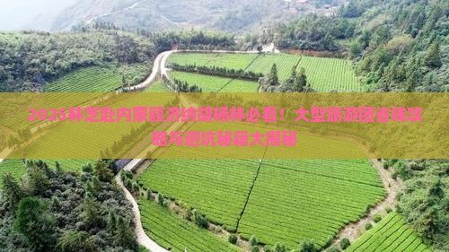林芝去内蒙额济纳胡杨林大型旅游团