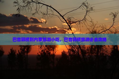 巴音郭楞到内蒙旅游小吃