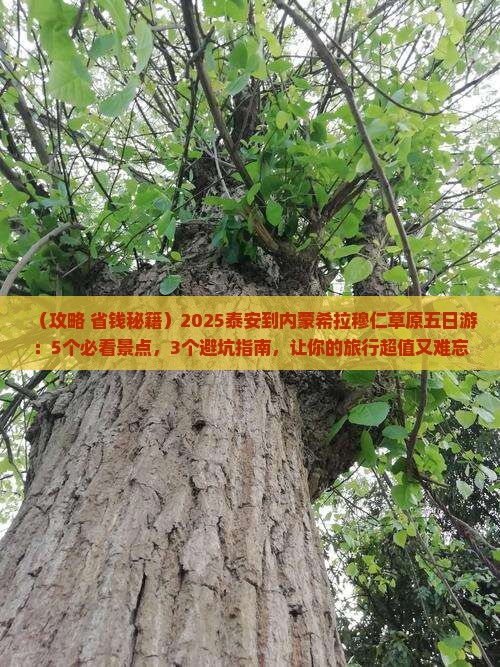 泰安到内蒙希拉穆仁草原五日游