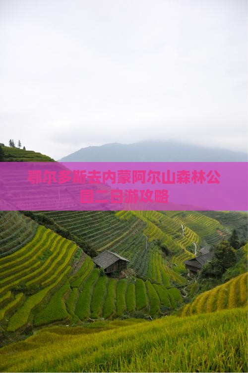 鄂尔多斯去内蒙阿尔山国家森林公园二日游